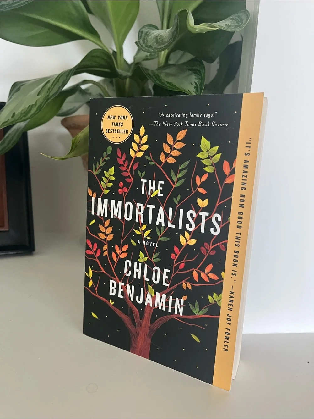 The Immortalists by Chloe Benjamin - Black Cover Paperback